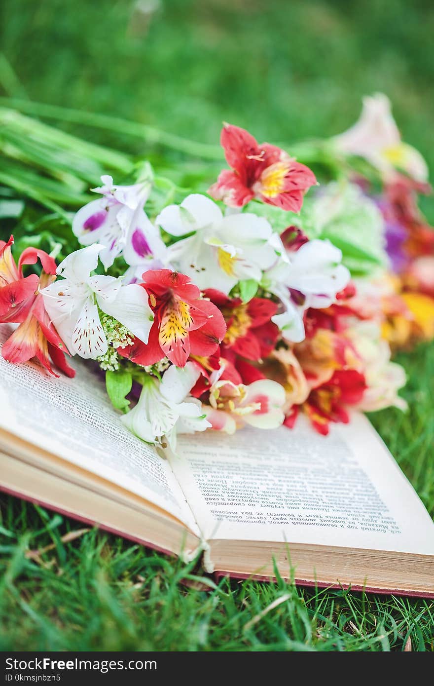 Beautiful flowers on the grass with a book. Close-up.