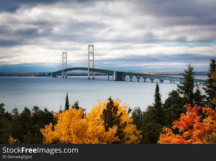 View Of Suspension Bridge