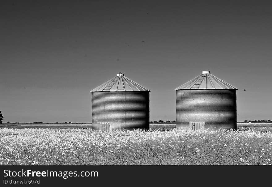 Grayscale Photography of Two Silo on Grass