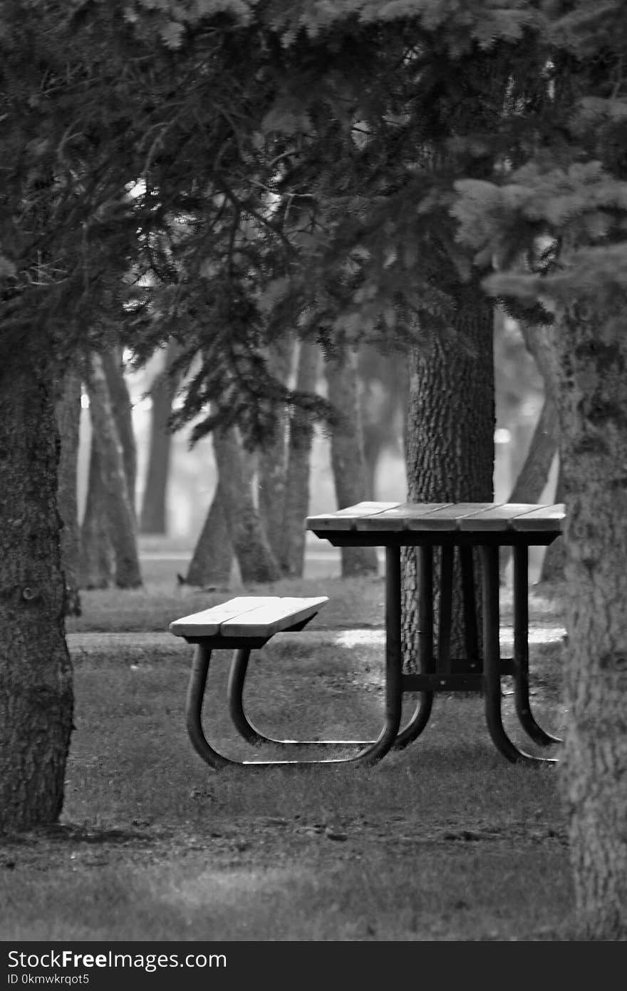 Black Metal Wood-top Bench