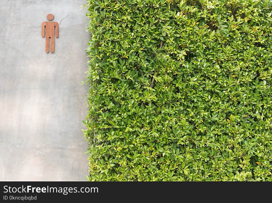 Male Toilet Seat Door Near Green Grasses