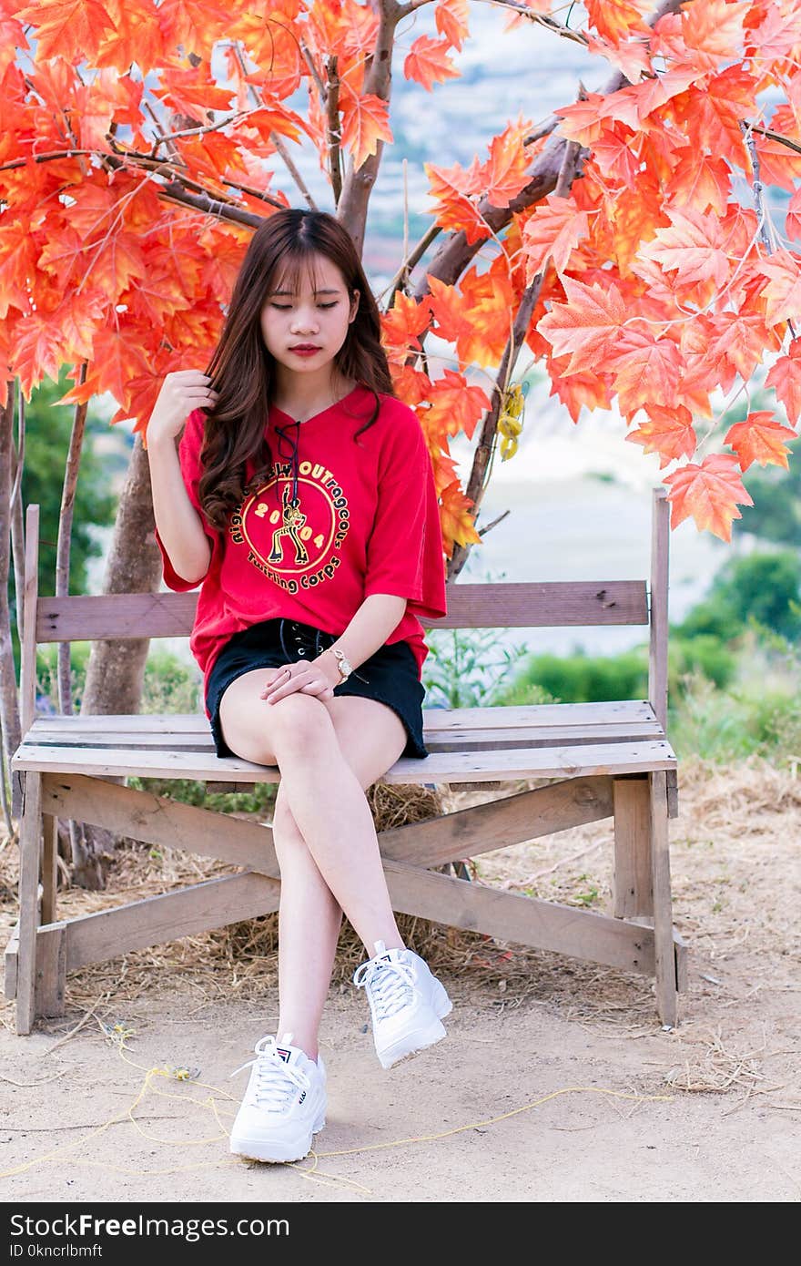 Woman Wearing Red V-neck Shirt Sitting Near Red Leafed Tree