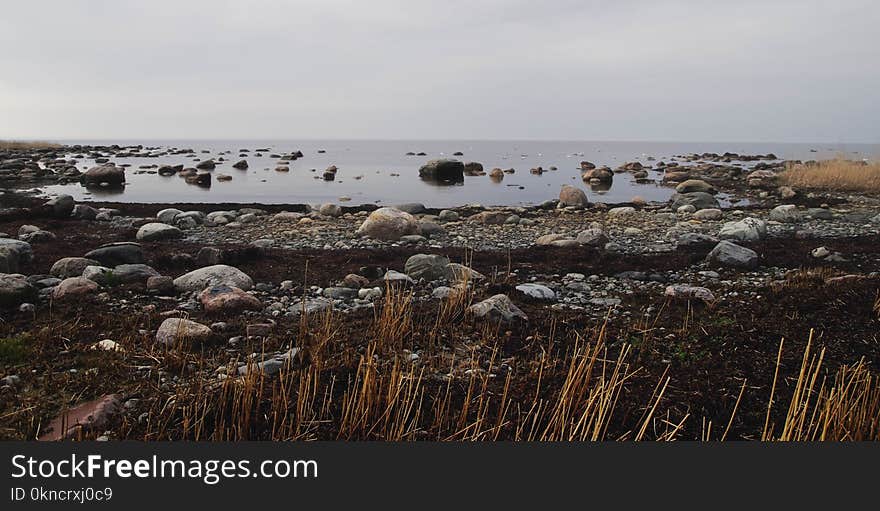 View of Seashore