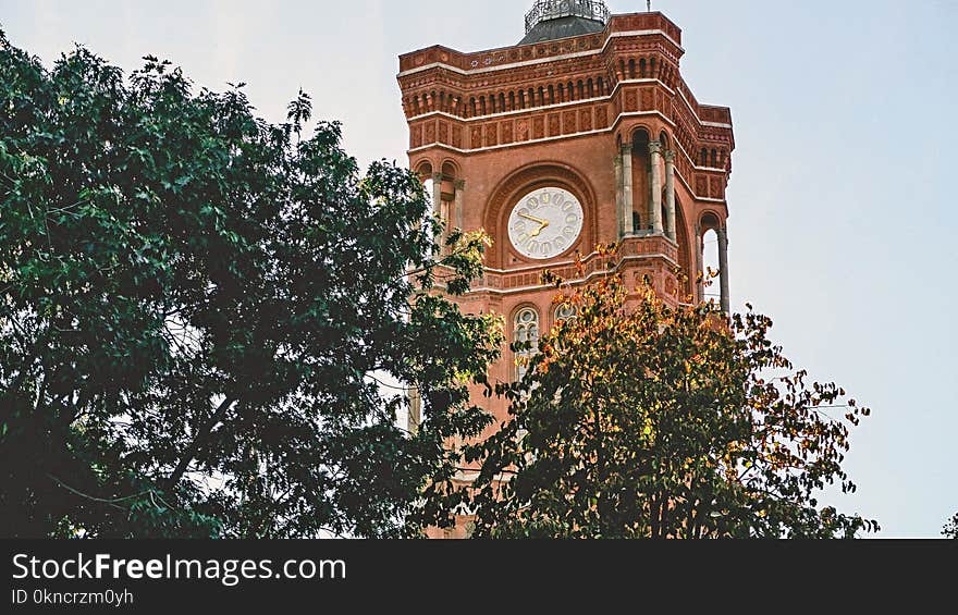 Clock Tower Near Trees at Daytime Photo