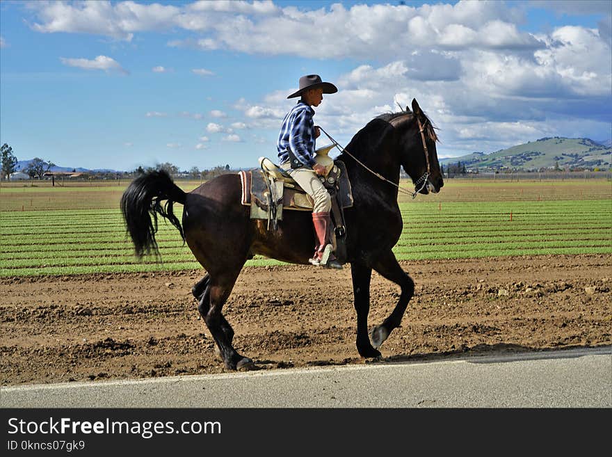 Man Riding on Brown Horse Under Blue and White Cloudy Sky