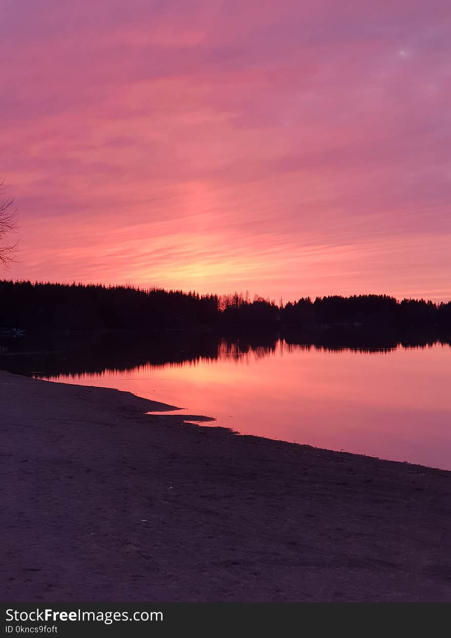 Silhouette of Trees during Sunset