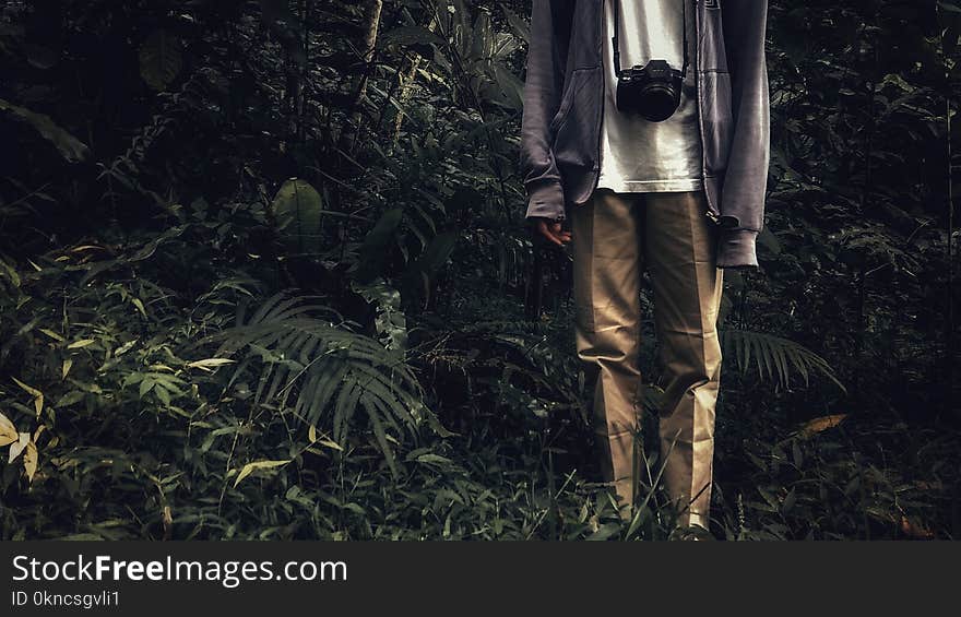 Person Wearing Brown Pants and Purple Jacket