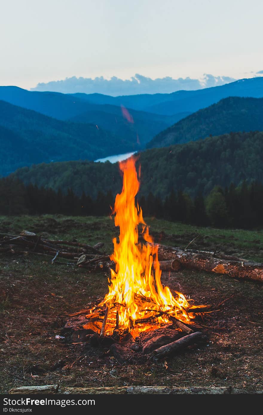 Bonfire Near Grass Field during Dawn