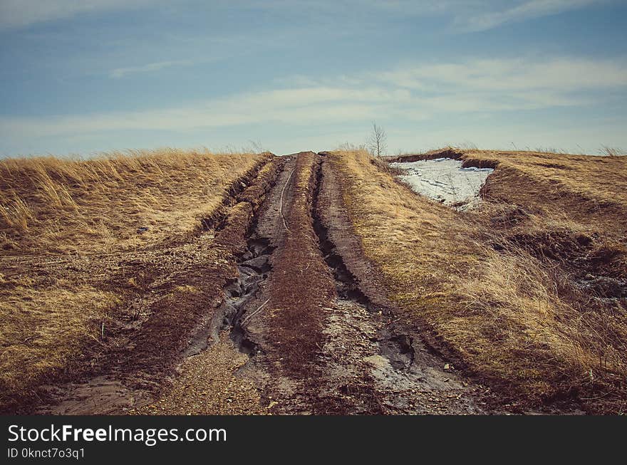 Brown Pathway Between Grass Field