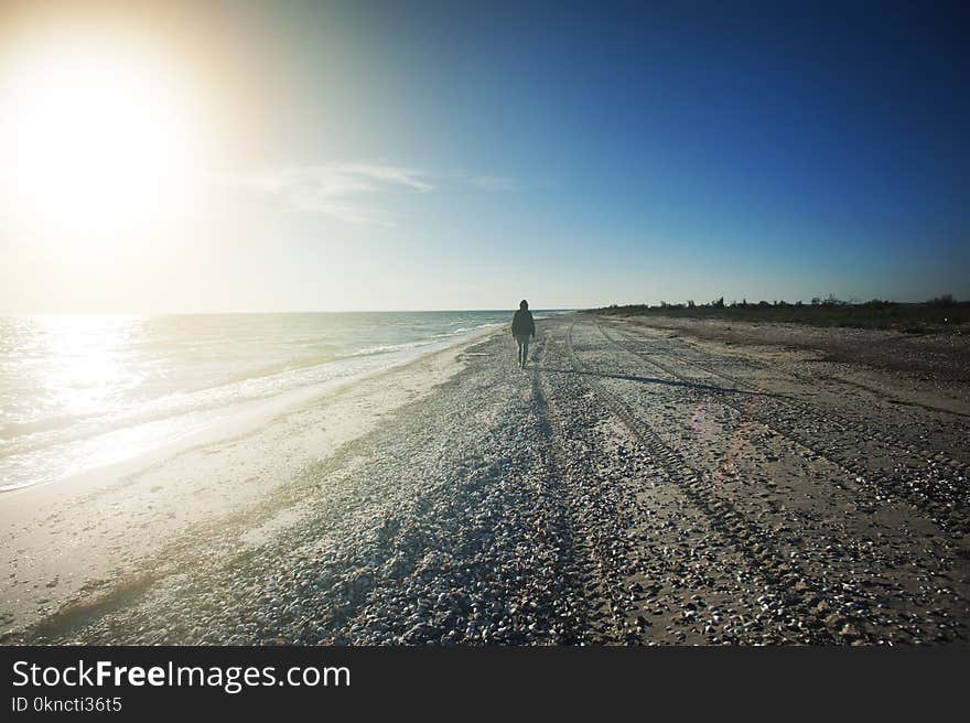 Person Walking on Seashore