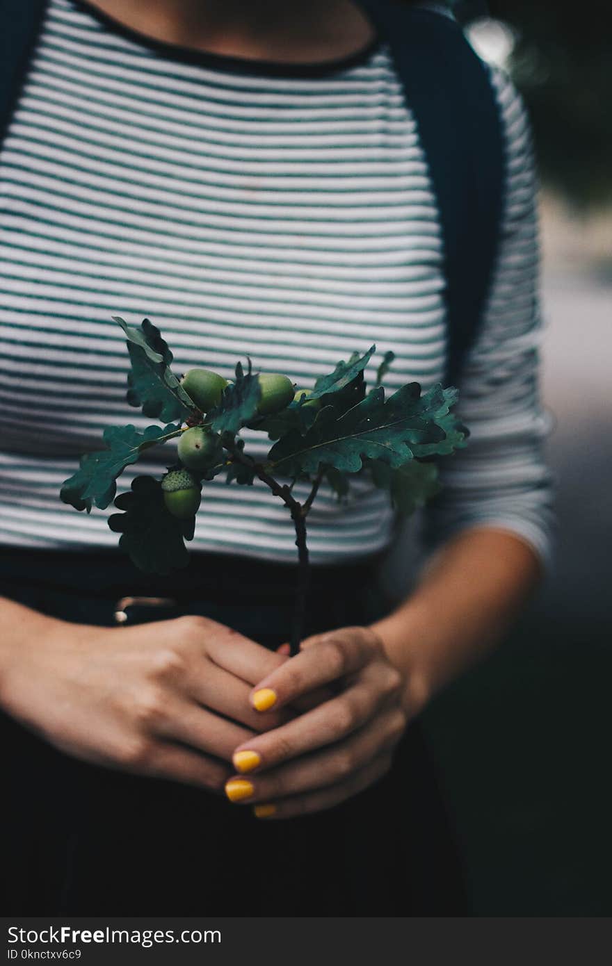 Selective Focus Photograph of Green Plant on Person&#x27;s Hands