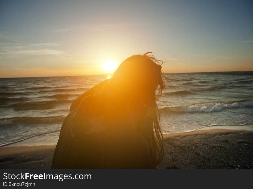 Silhouette of Woman Sitting on Beach Shore