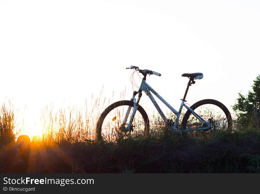 Teal Hardtail Bike on Green Grass