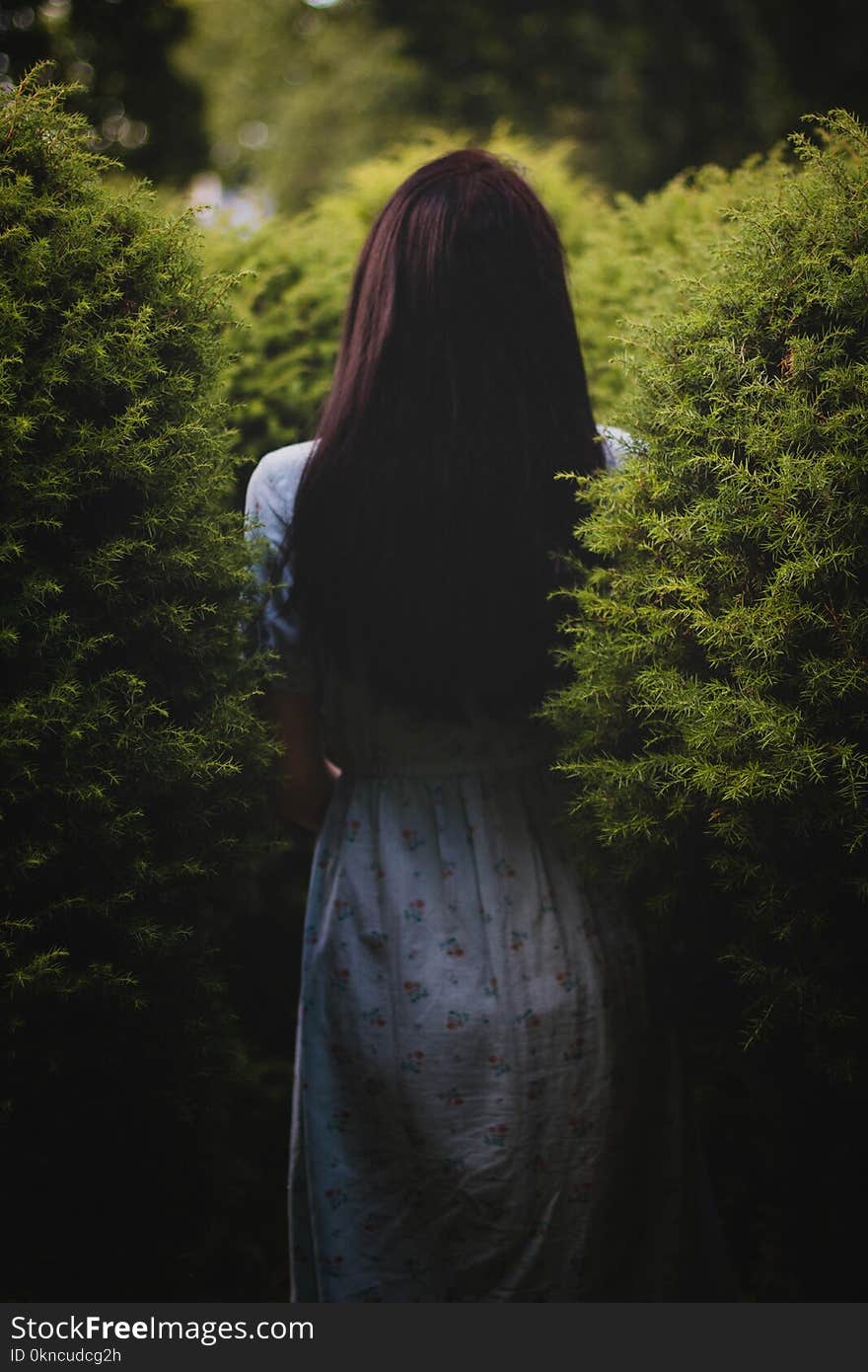 Woman Wearing White Dress Near Green Plants