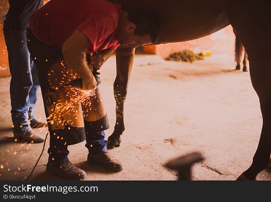 Man Holding Lighting Tool Near Brown Horse