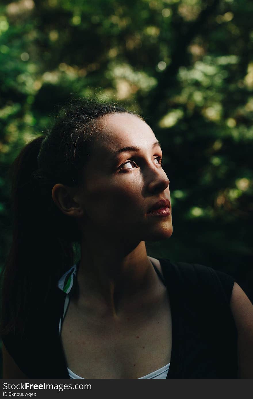 Woman Looking Up Near Tree