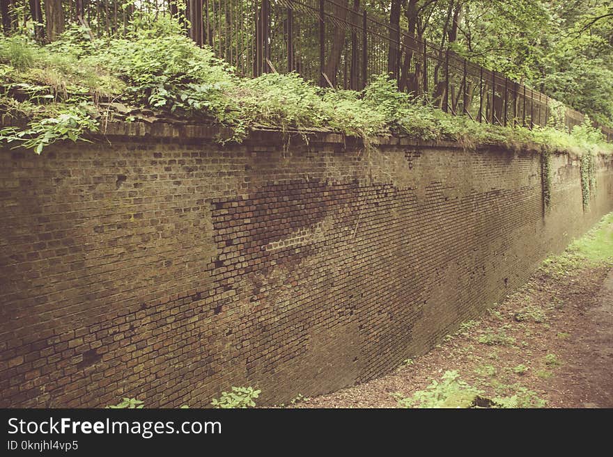 Ruins of Prussian fortifications in Poznan. Poland.