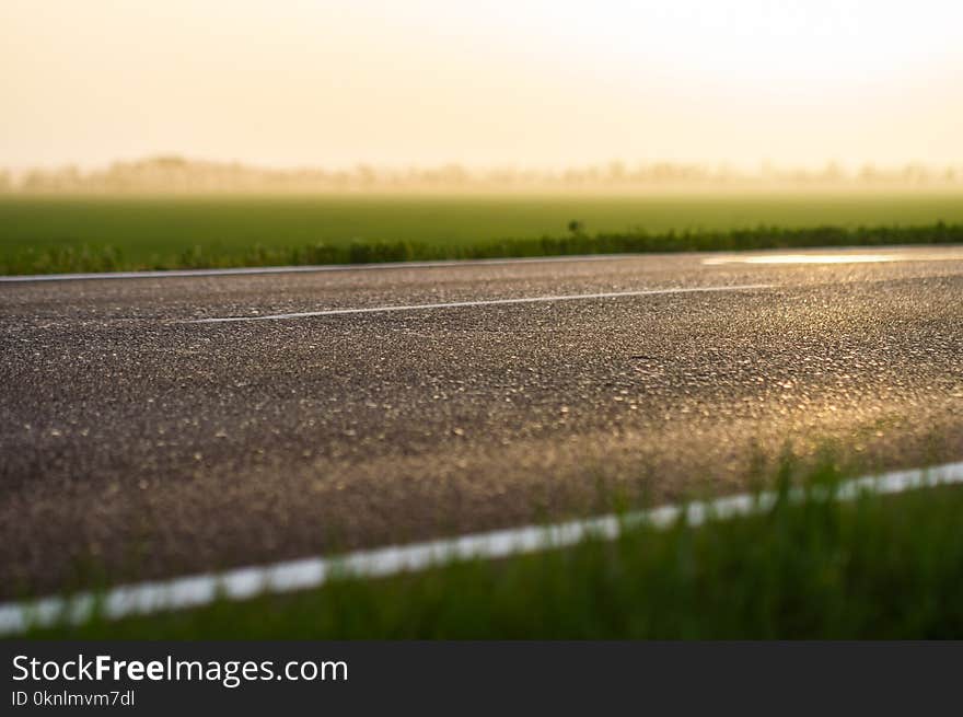 Green grass on roadside of asphalt road. Nature concept