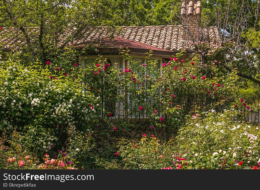 View of beautiful cottage in the rose garden