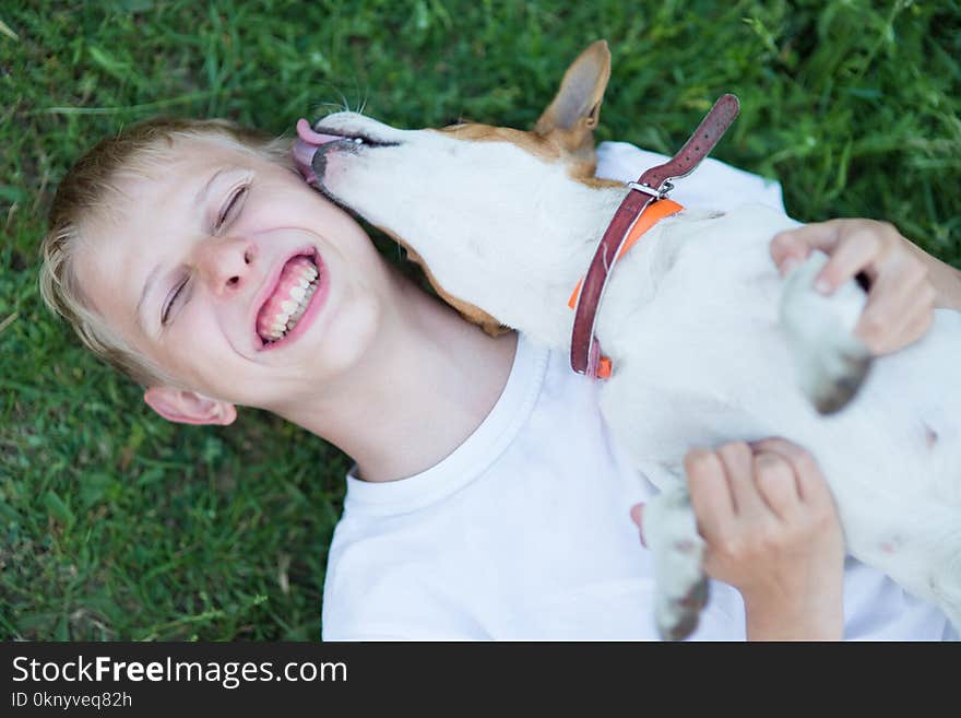 A teenager with a dog in the nature, Jack Russell and a boy playing