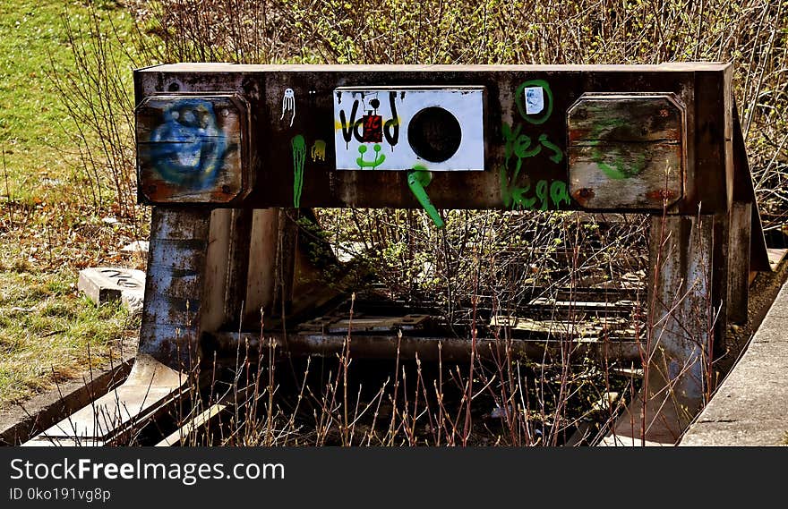 Water, Tree, Car, Plant