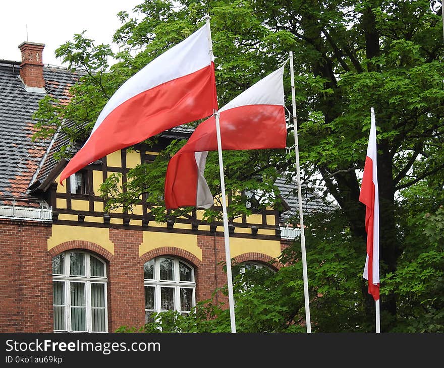 Flag, Tree, House, Facade