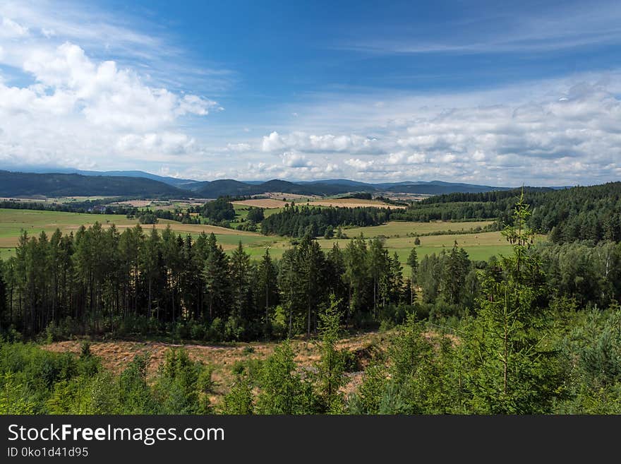 Ecosystem, Wilderness, Sky, Grassland