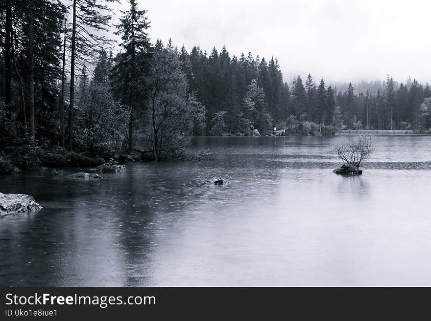 Water, Nature, Body Of Water, Black And White