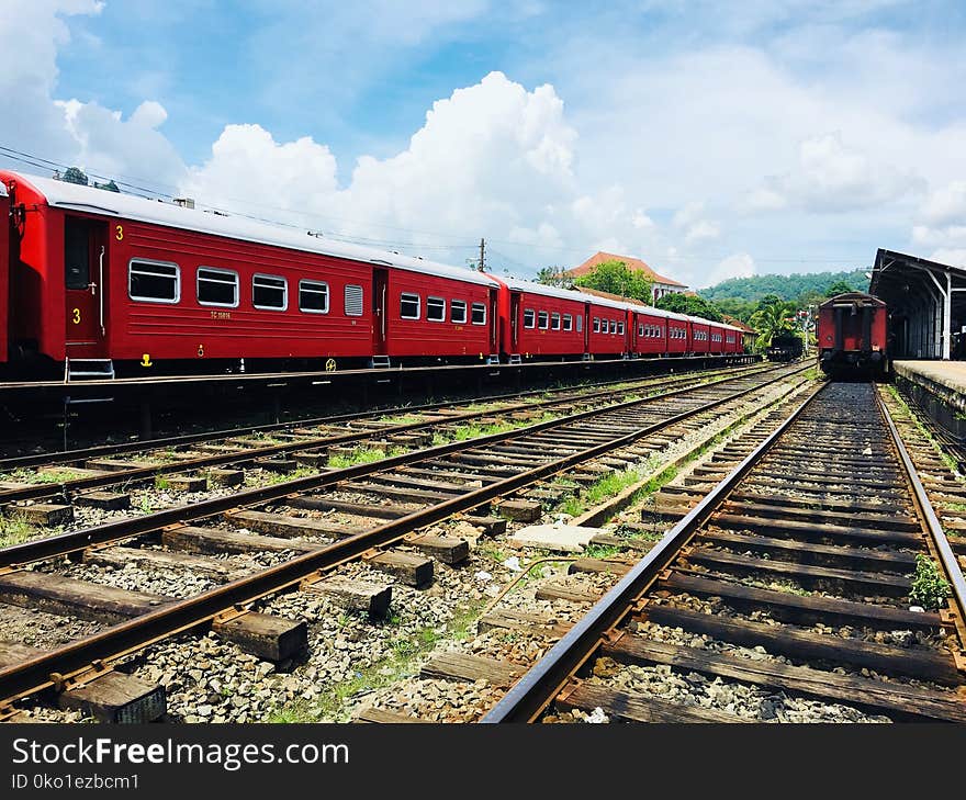 Track, Transport, Rail Transport, Train