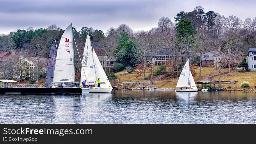 Waterway, Water, Tree, Boat