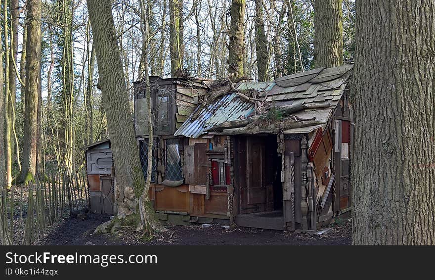 Shack, Tree, House, Shed