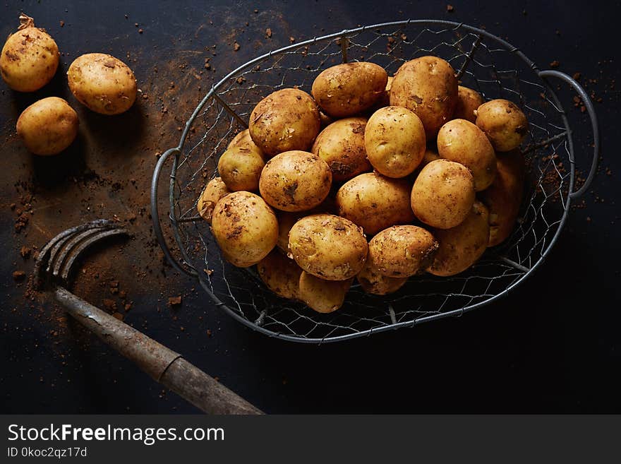 Wire basket with harvested potatoes