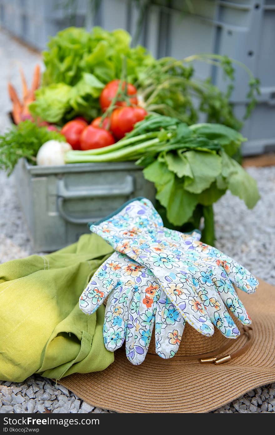 Crate full of freshly harvested vegetables, straw hat and gloves in a garden. Homegrown bio produce concept. Top view.