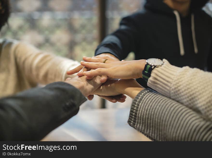 Shallow Focus Photography of Five People Holding Each Other Hands