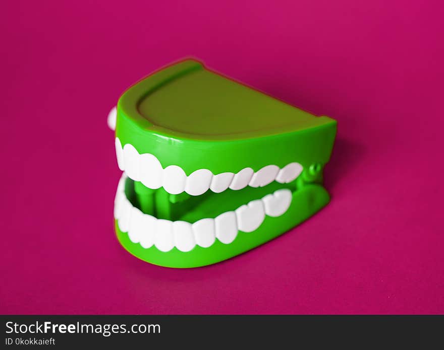 Green and White Denture Toy