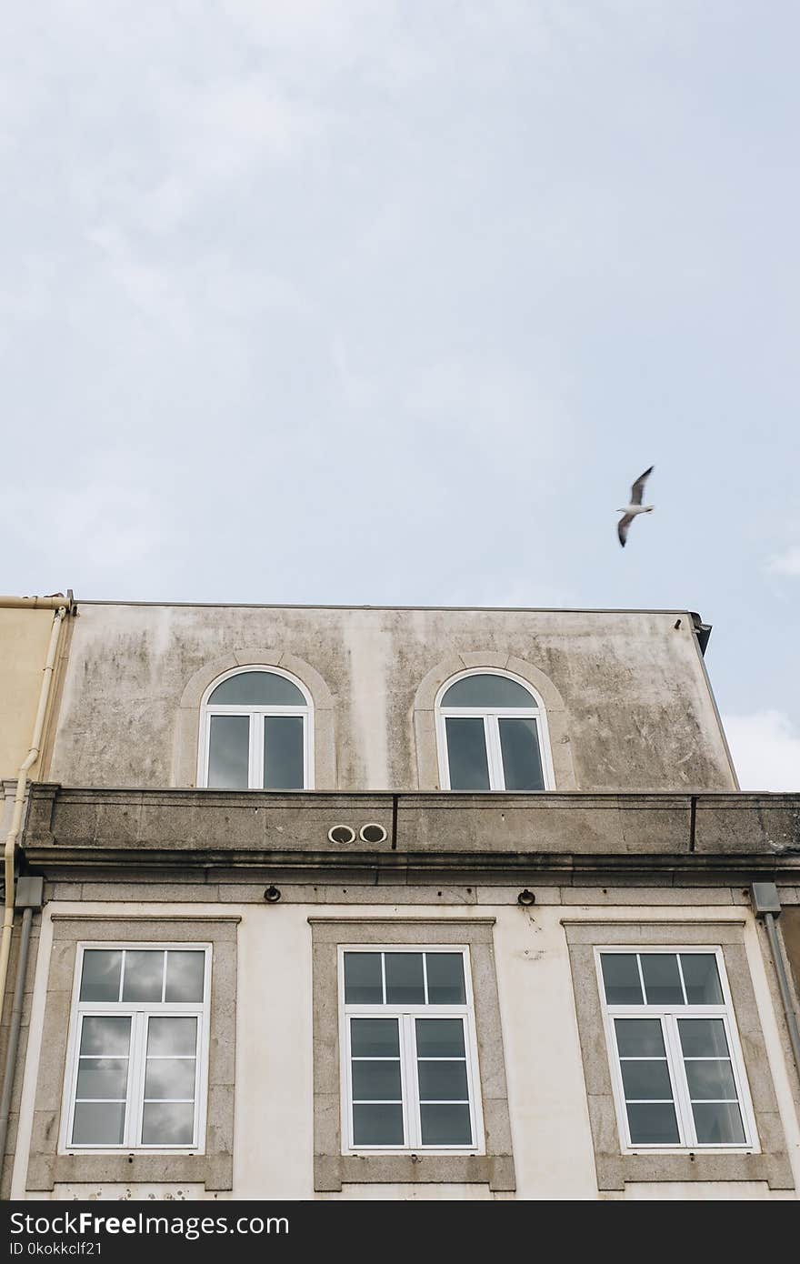 Photo of White Building