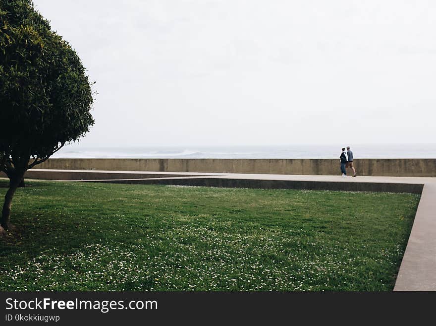 Couple Walking Pathway Near Green Grass