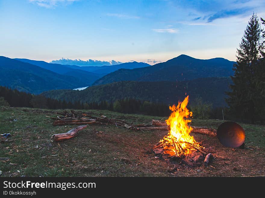 Bonfire Surrounded With Green Grass Field