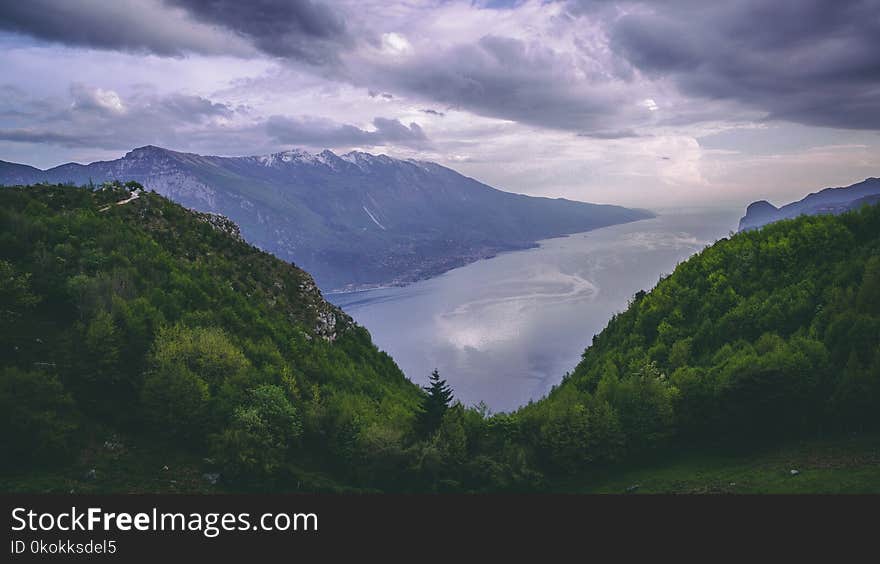 Green Leaf Trees Near Lake Under Cloudy Sky at Daytimne