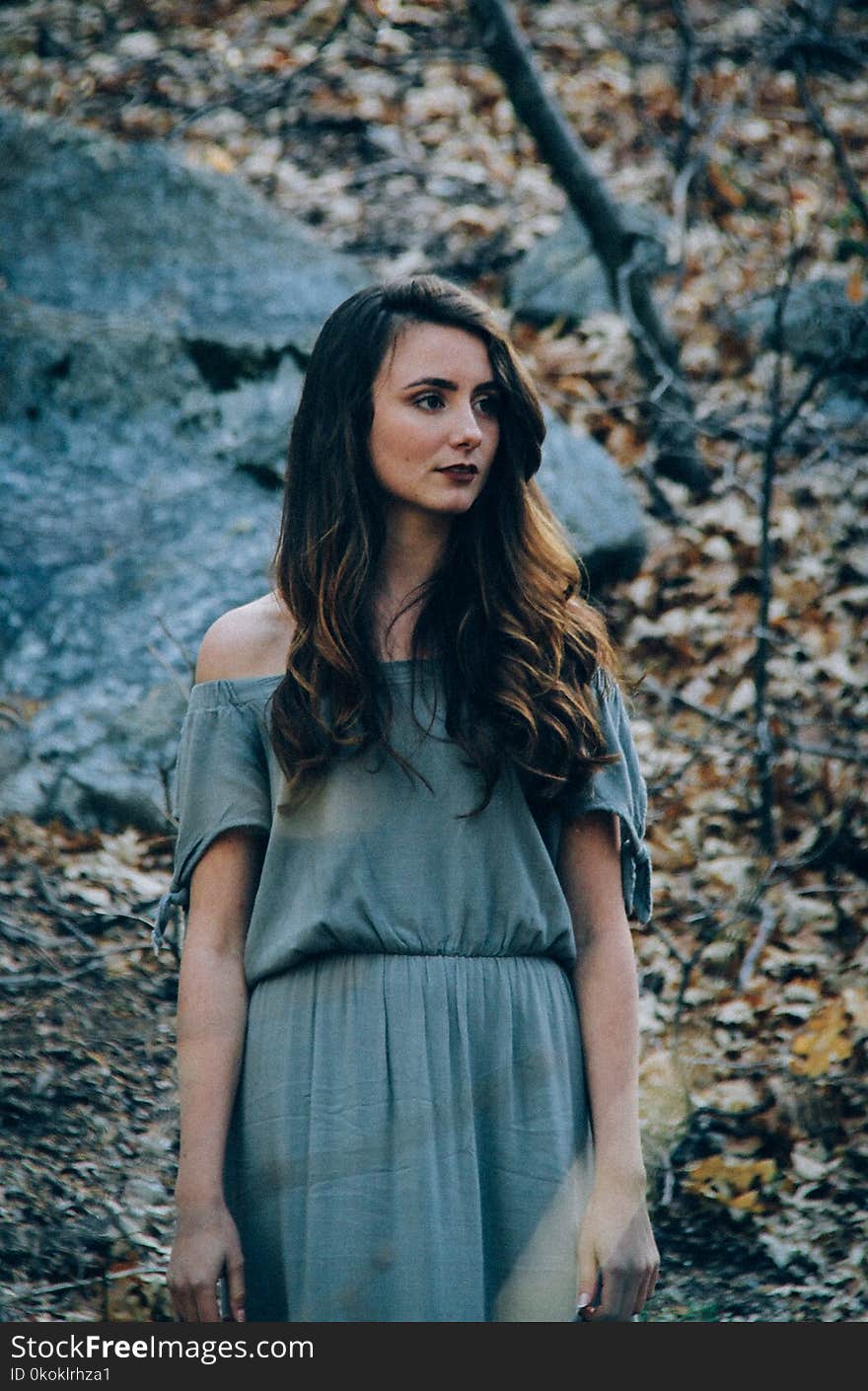 Photo of a Woman Wearing Blue Off-shoulder Dress