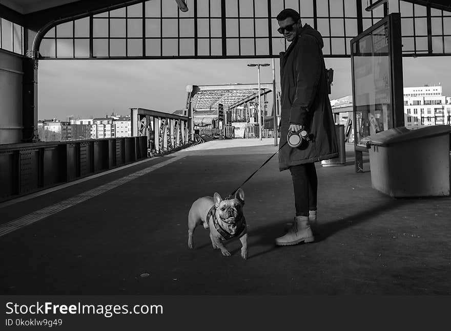 Man In Coat Holding Leash Of A English Bulldog