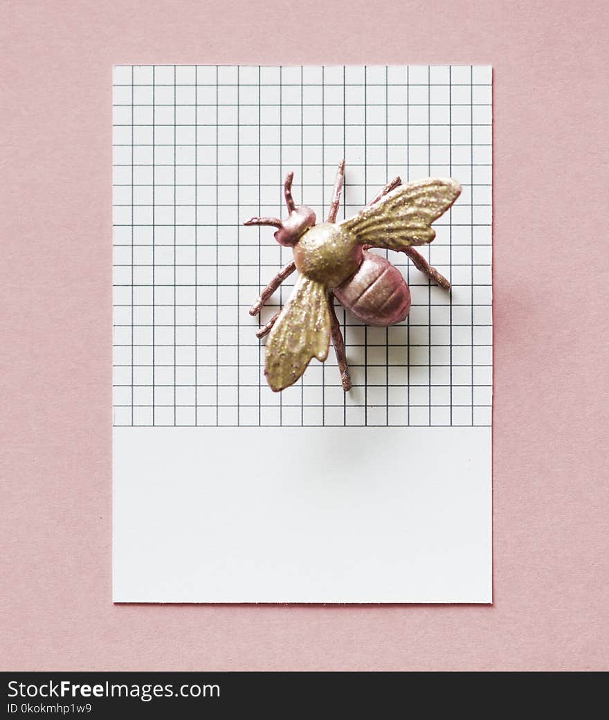 Toy Fly On White Graphing Paper