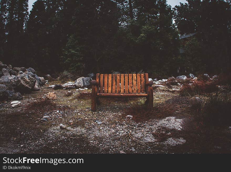 Brown Wooden Park Bench