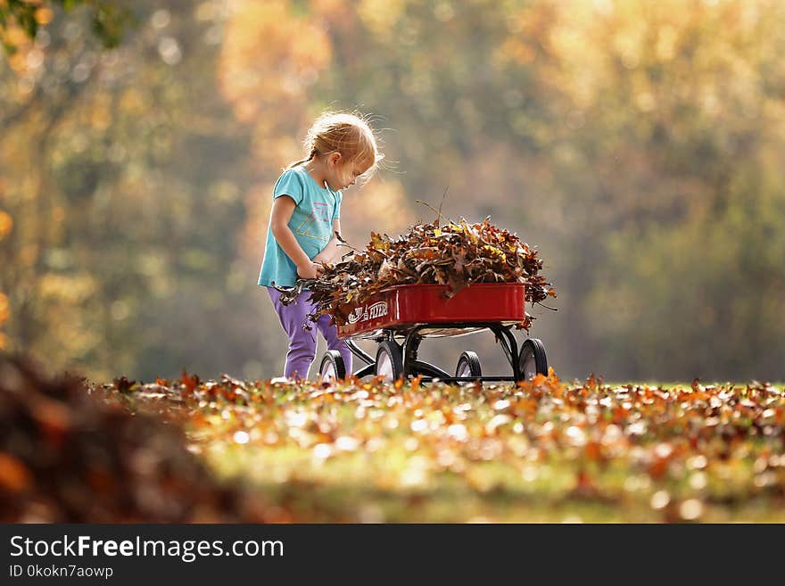 Photography of Child Pushing the Wagon