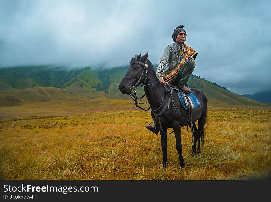 Photography of a Person Riding a Horse