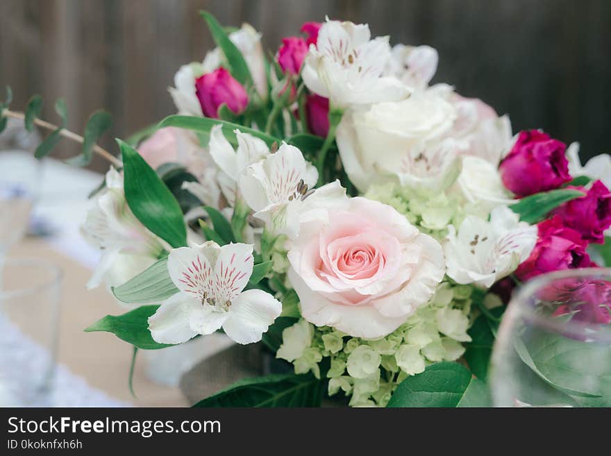 Close-Up Photography of Flowers