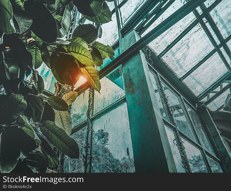 Low Angle Photography of Greenhouse