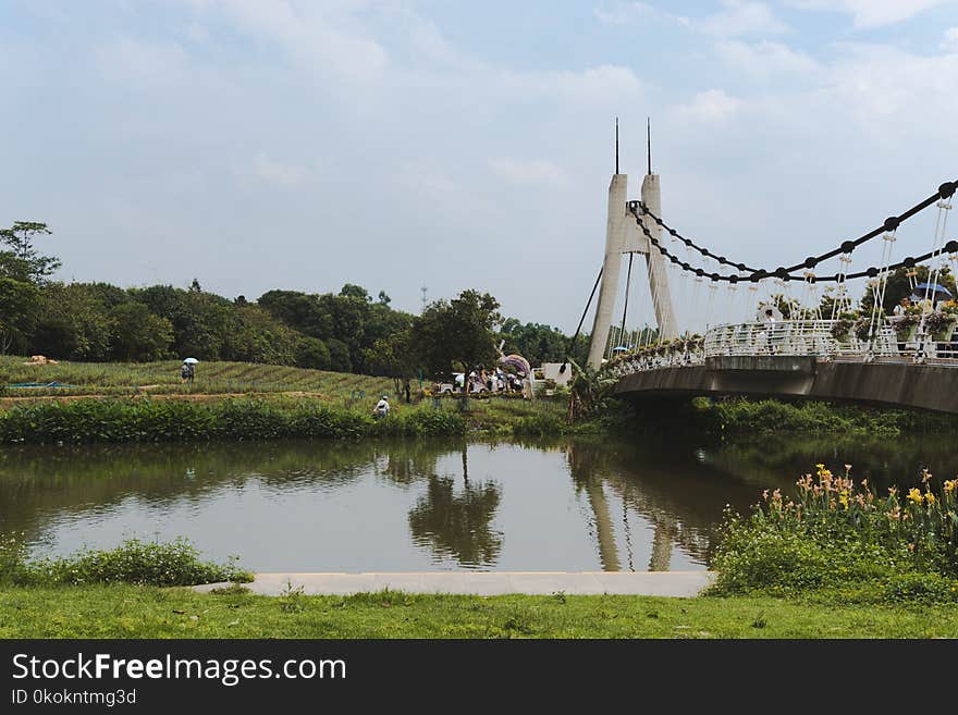 White Concrete Bridge on Body of Water Near Green Trees