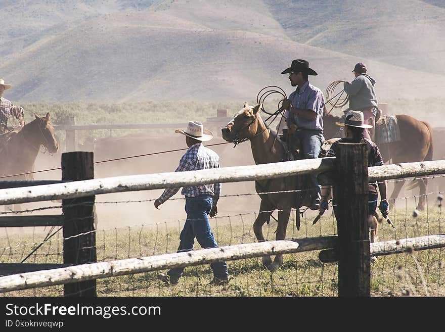 People Riding on There Perspective Horse in Farm