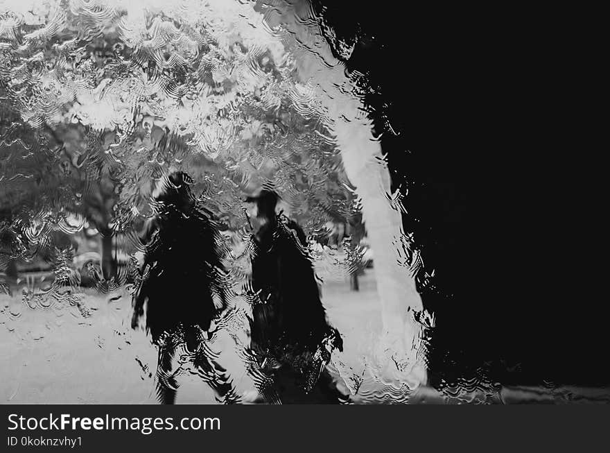 Grayscale Photography of Two Persons Walking Towards the Trees